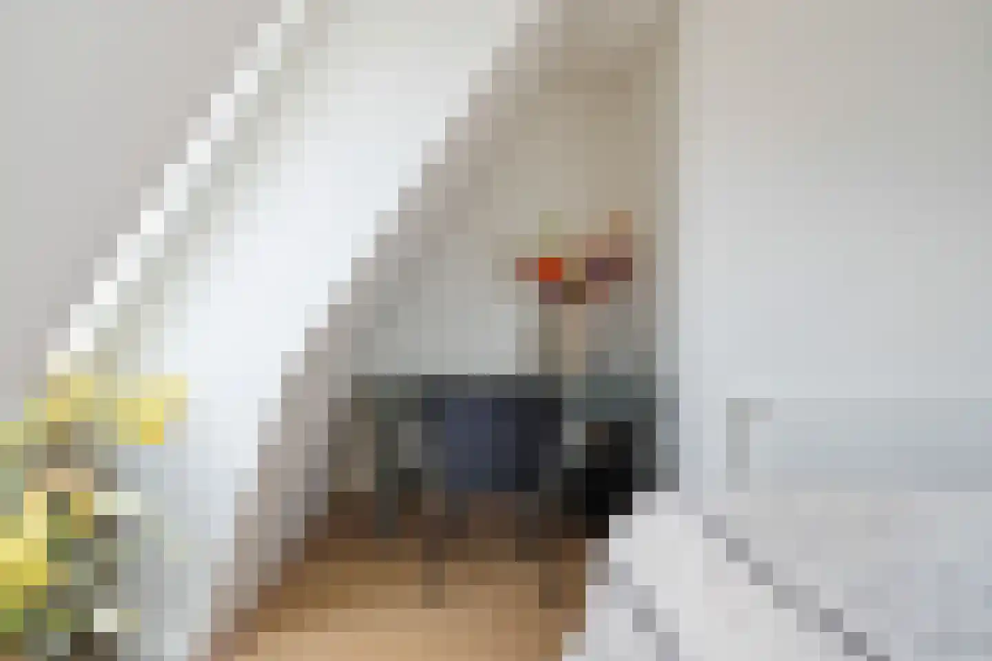 De Dyk 16 Woudsend thumbnail 51