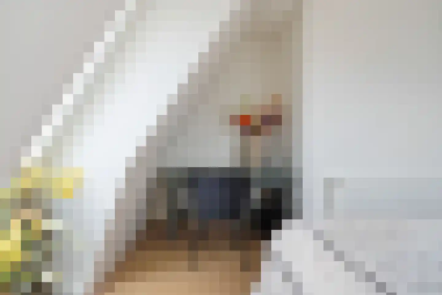 De Dyk 16 Woudsend thumbnail 51