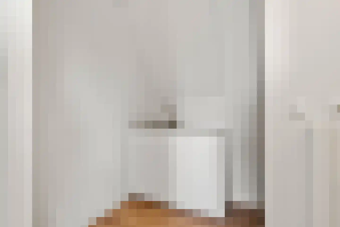 De Dyk 16 Woudsend thumbnail 52