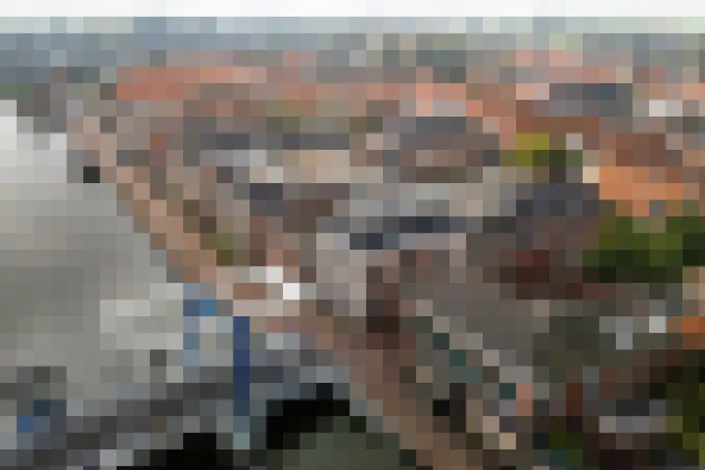 De Dyk 16 Woudsend thumbnail 61