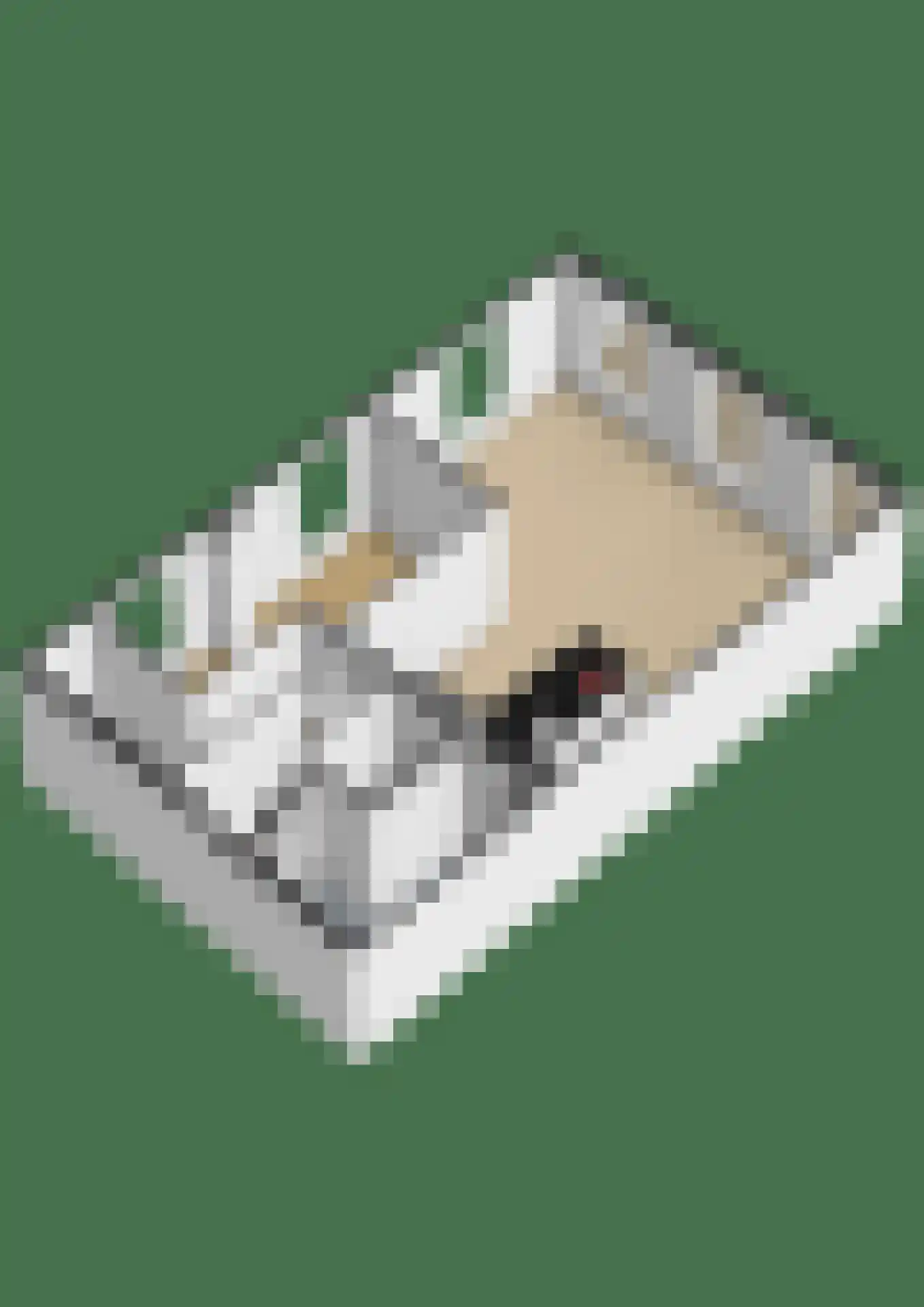 De Dyk 16 Woudsend thumbnail 72