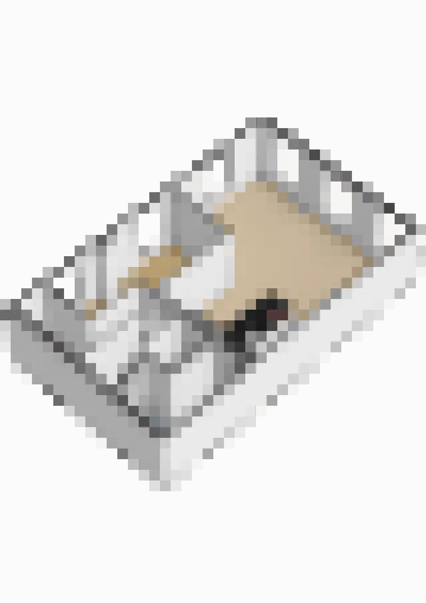 De Dyk 16 Woudsend thumbnail 78