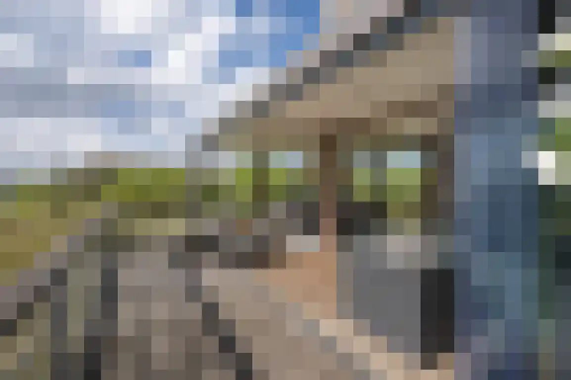 De Eco Punt 49 Ouddorp thumbnail 32