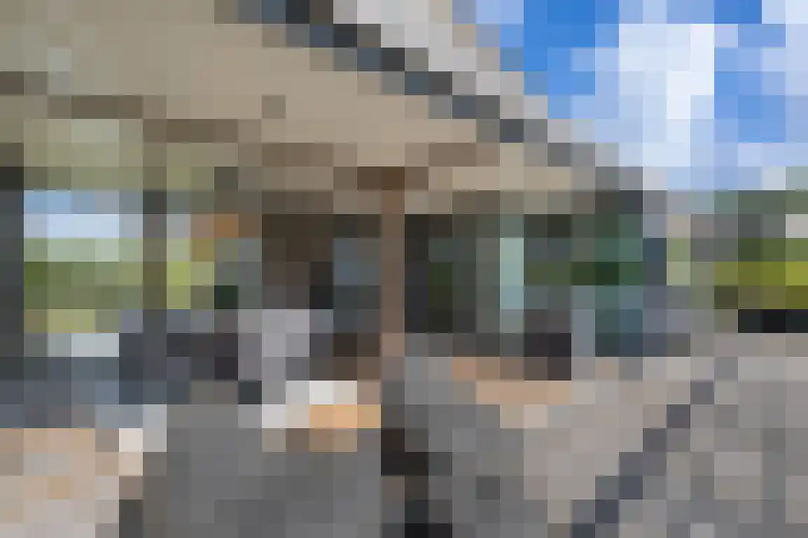 De Eco Punt 49 Ouddorp thumbnail 33