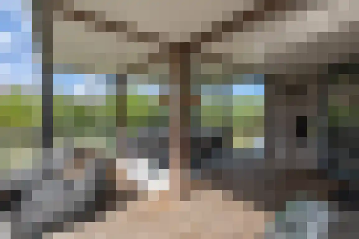 De Eco Punt 49 Ouddorp thumbnail 34