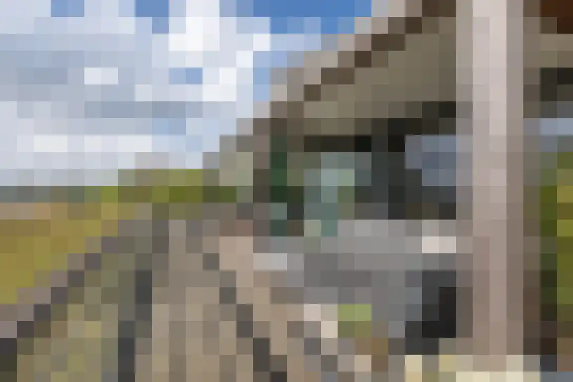 De Eco Punt 49 Ouddorp thumbnail 38