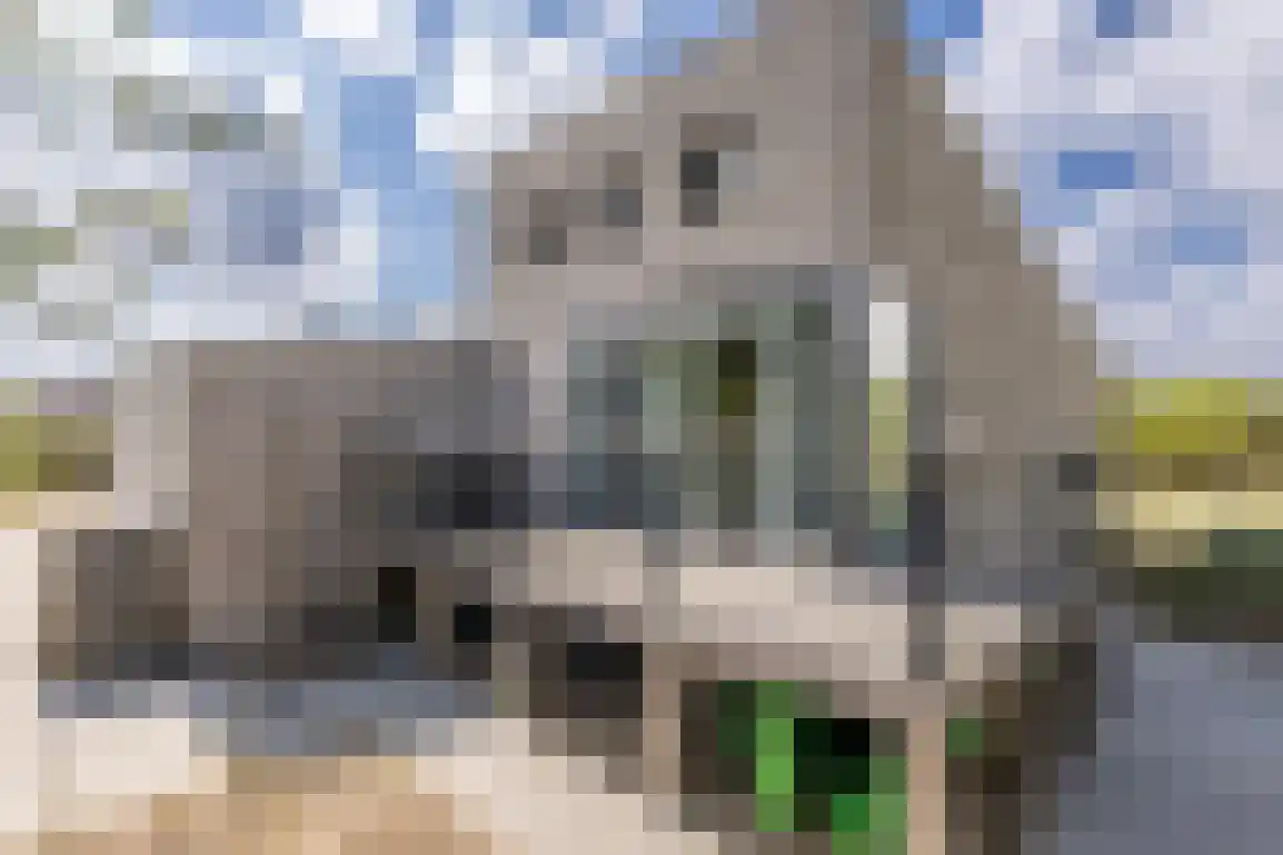 De Eco Punt 49 Ouddorp thumbnail 46