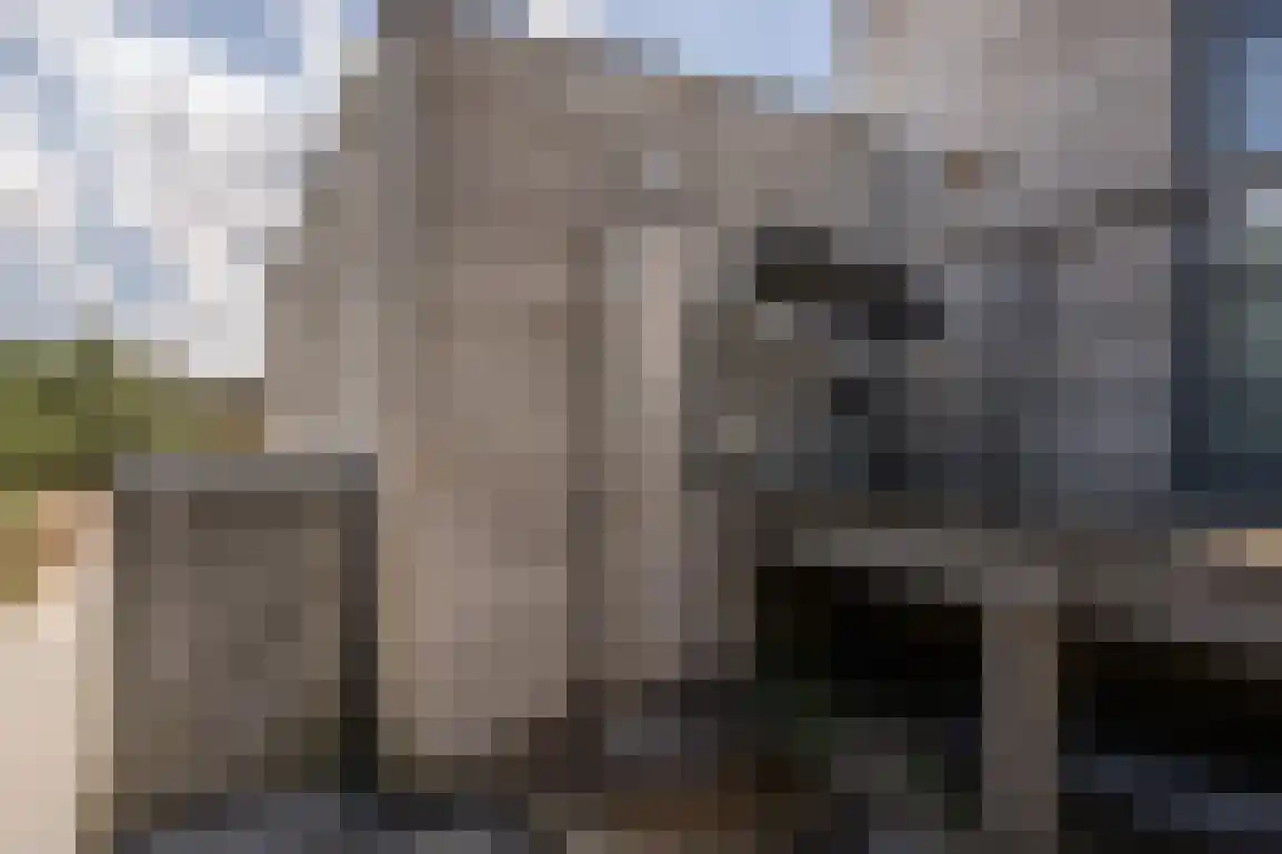 De Eco Punt 49 Ouddorp thumbnail 47