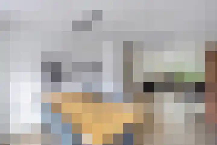 De Ee 17 Drachten thumbnail 11