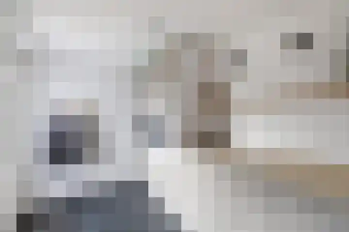 De Ee 17 Drachten thumbnail 16