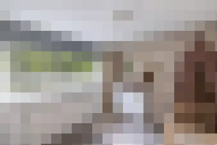 De Ee 17 Drachten thumbnail 27