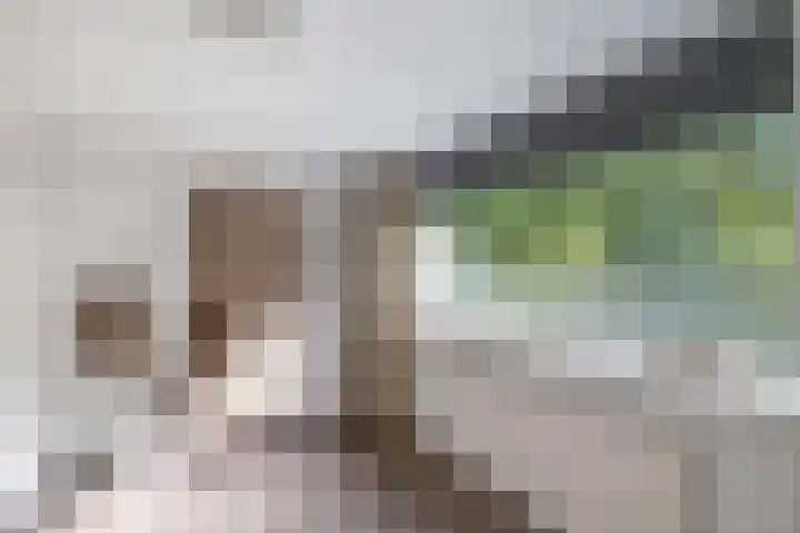 De Ee 17 Drachten thumbnail 28