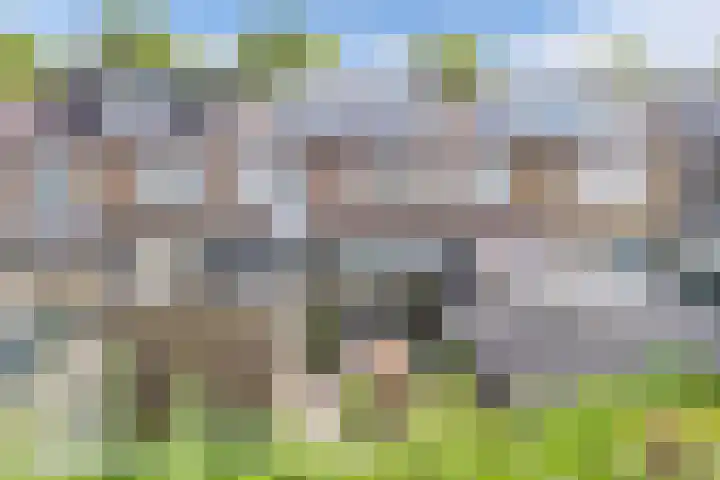 De Ee 17 Drachten thumbnail 35