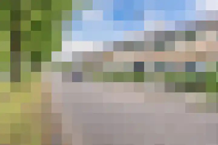 De Ee 17 Drachten thumbnail 37