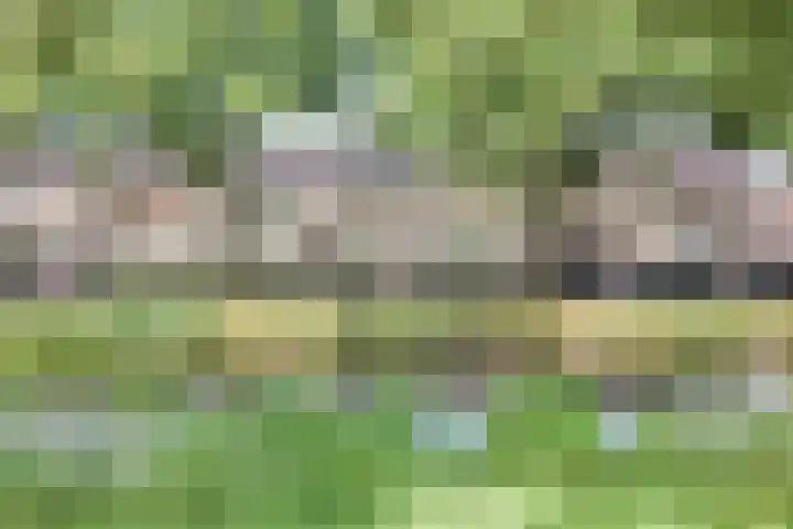 De Ee 17 Drachten thumbnail 38