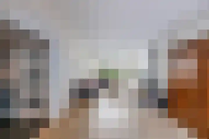De Ee 17 Drachten thumbnail 9