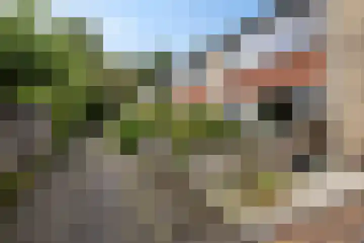 De Ee 42 Drachten thumbnail 10
