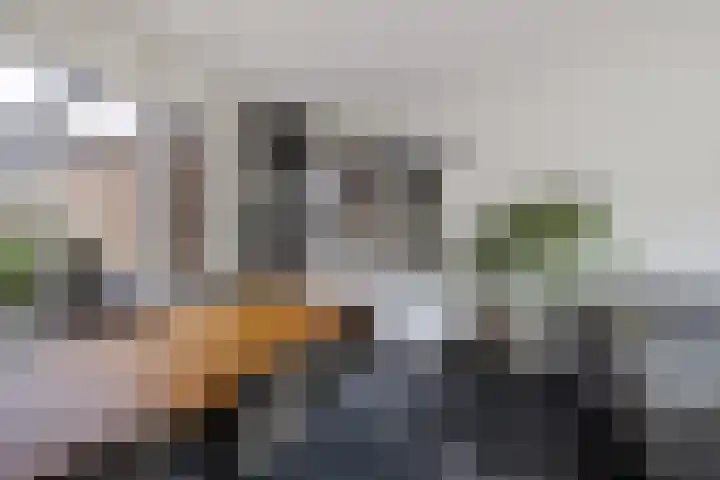 De Ee 42 Drachten thumbnail 17
