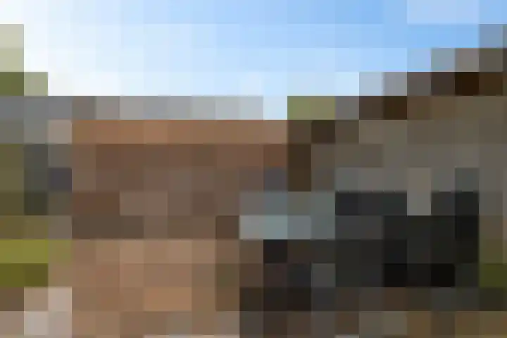 De Ee 42 Drachten thumbnail 38