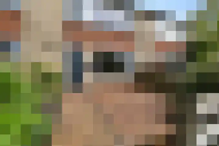De Ee 42 Drachten thumbnail 5