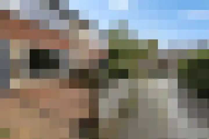 De Ee 42 Drachten thumbnail 6