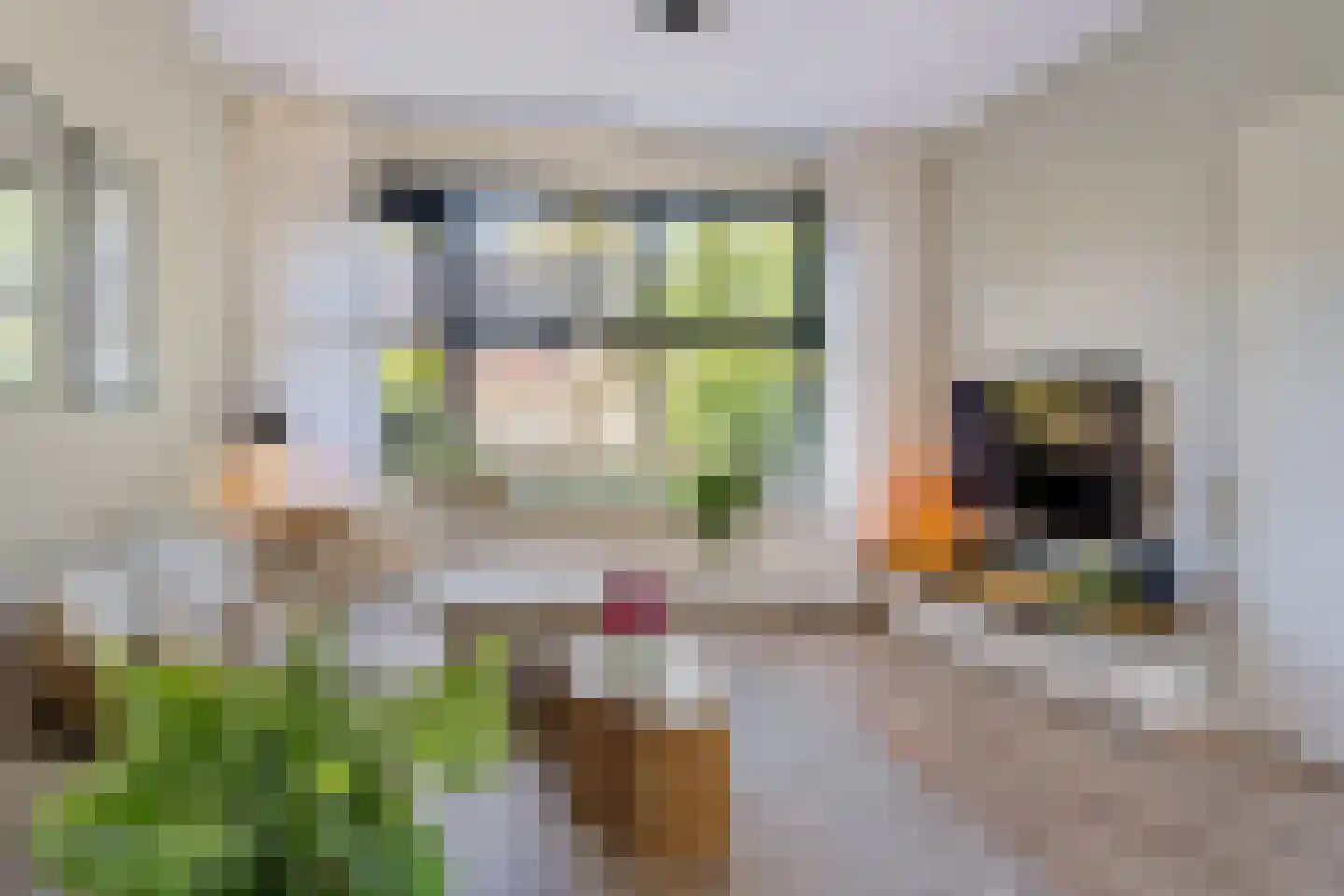 De Ee 46 Drachten thumbnail 14