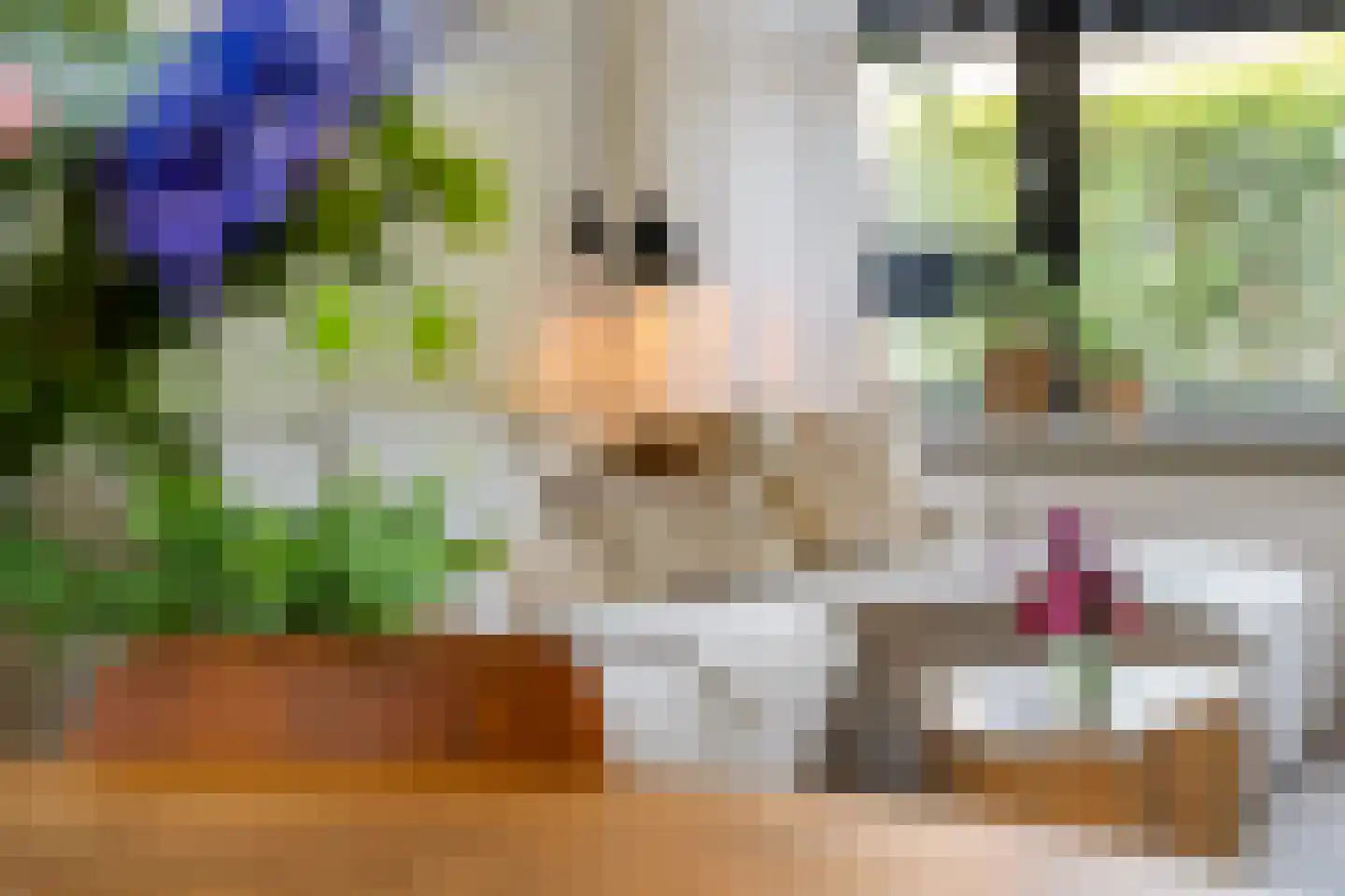 De Ee 46 Drachten thumbnail 15