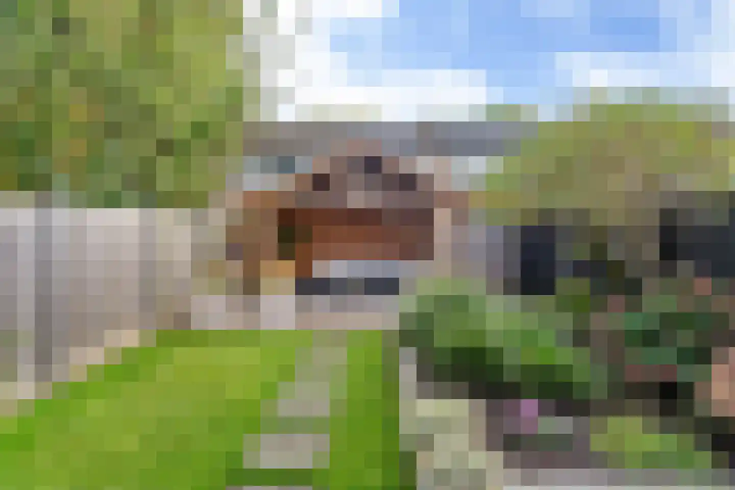 De Ee 46 Drachten thumbnail 26