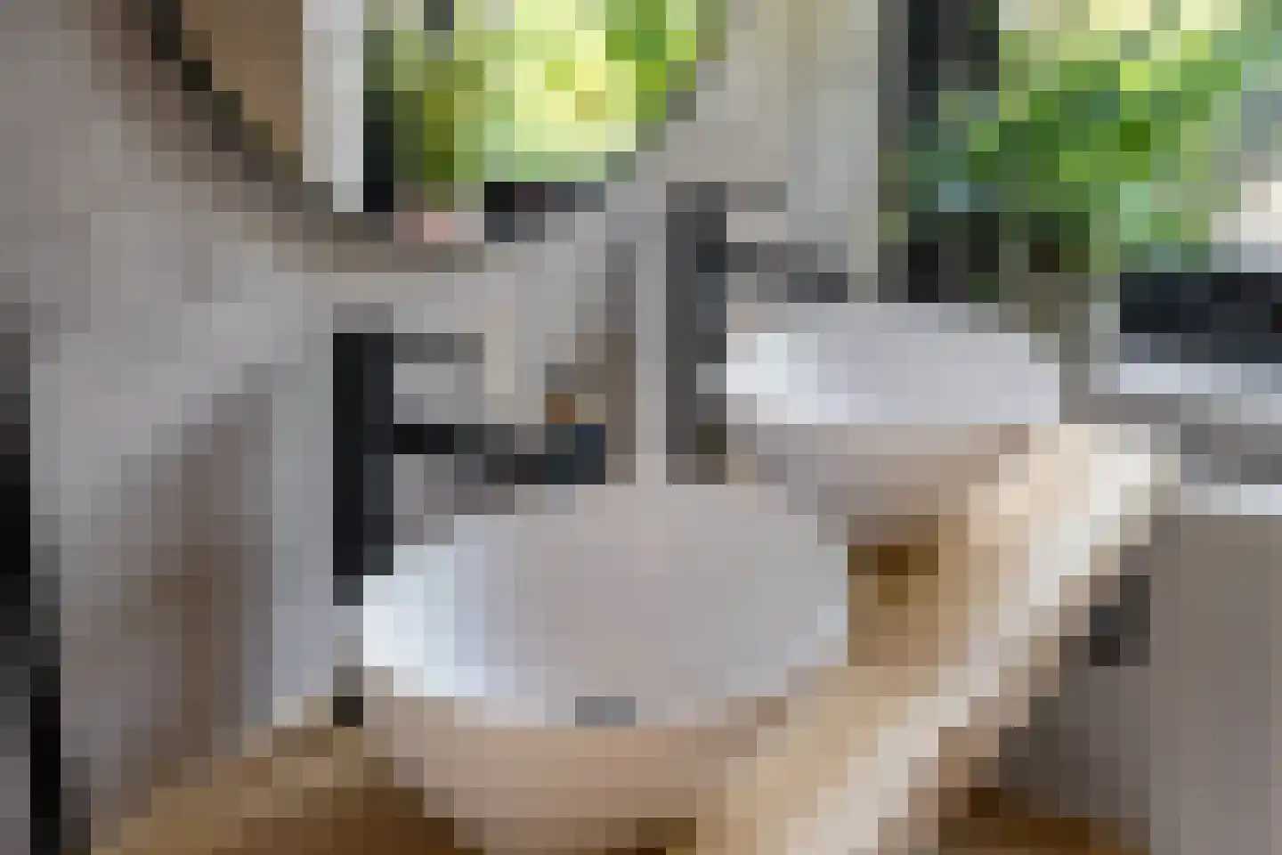 De Ee 46 Drachten thumbnail 38