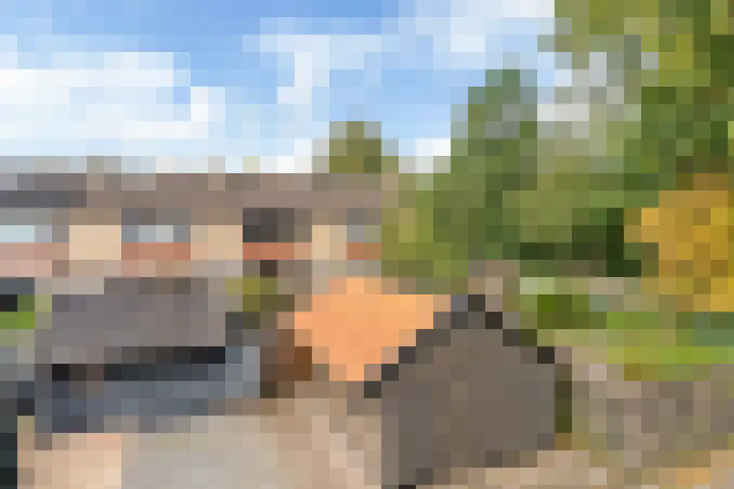 De Ee 46 Drachten thumbnail 44