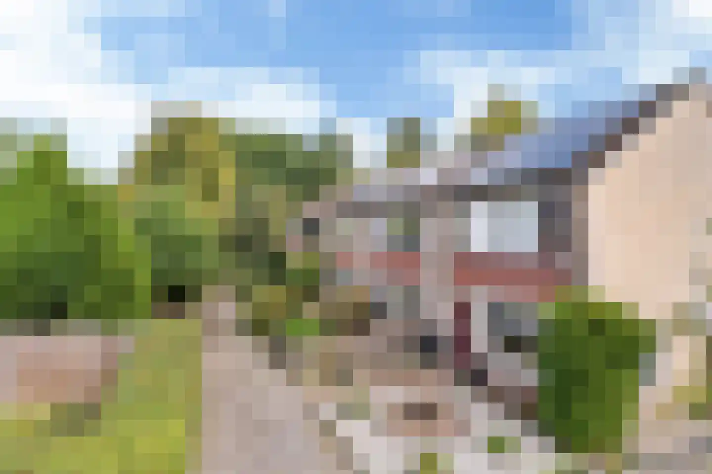 De Ee 46 Drachten thumbnail 5