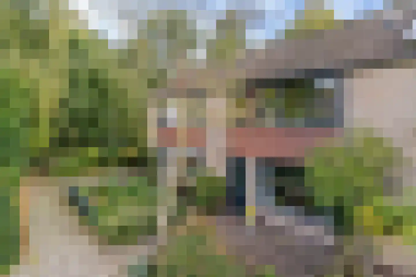 De Ee 46 Drachten thumbnail 6