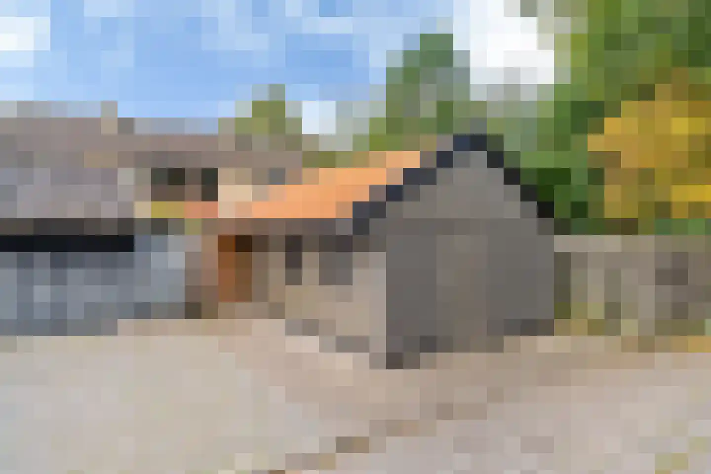 De Ee 46 Drachten thumbnail 9
