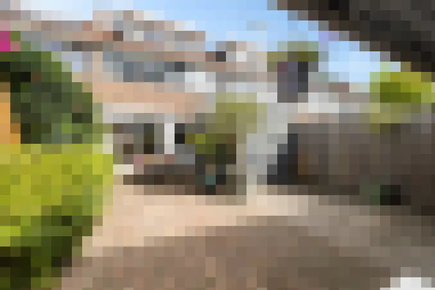De Ee 71 Drachten thumbnail 31