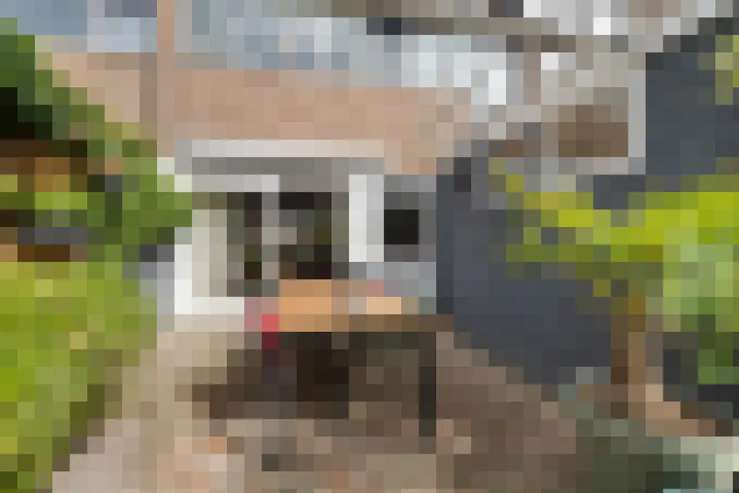 De Ee 71 Drachten thumbnail 32