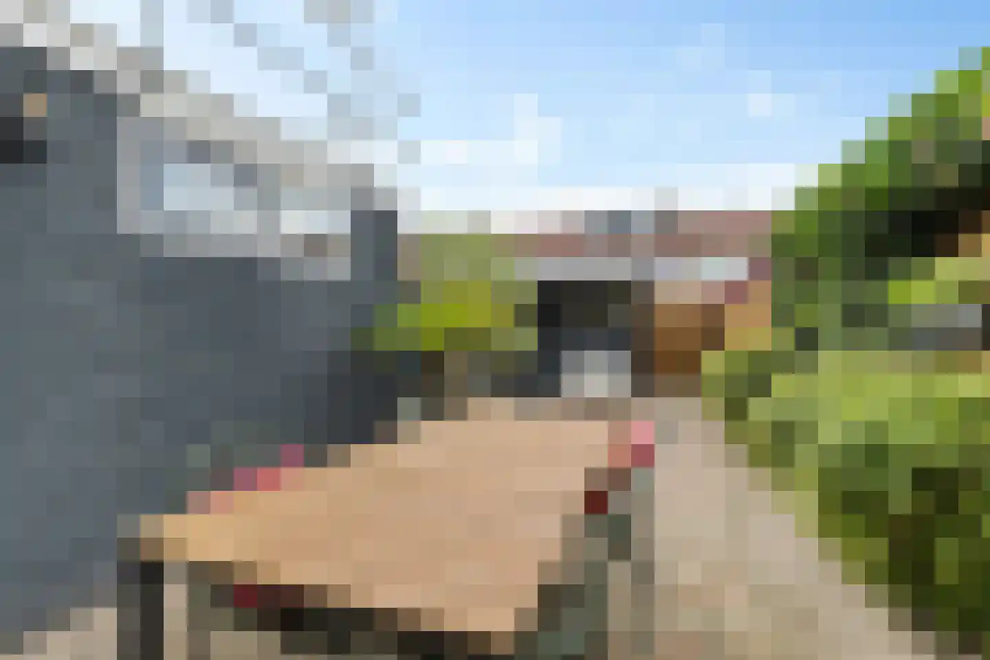 De Ee 71 Drachten thumbnail 34