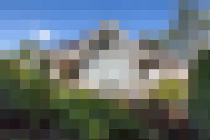 De Eelinkes 37 Winterswijk thumbnail 10