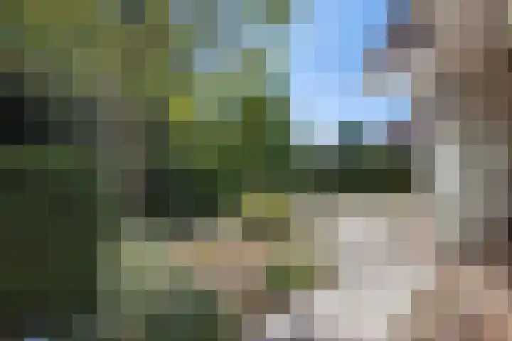 De Eelinkes 37 Winterswijk thumbnail 12