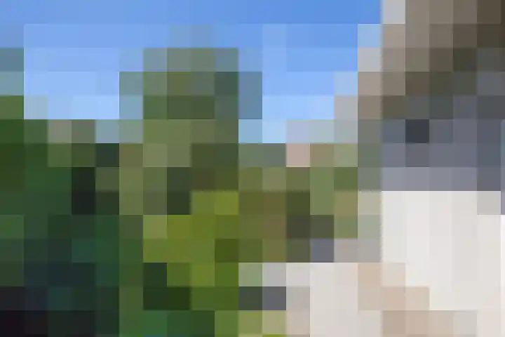 De Eelinkes 37 Winterswijk thumbnail 15