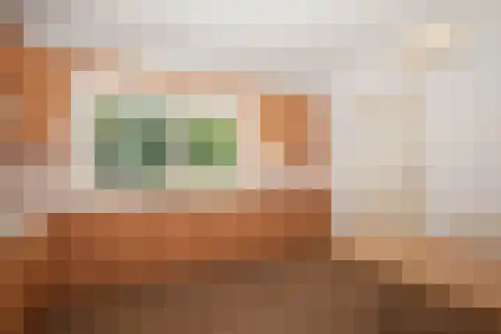 De Eelinkes 37 Winterswijk thumbnail 31