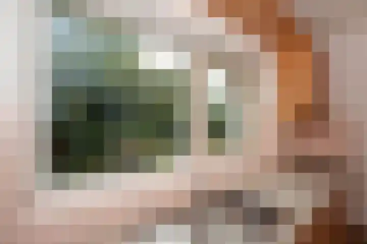 De Eelinkes 37 Winterswijk thumbnail 32