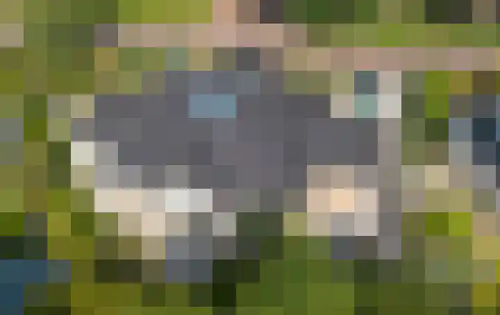De Eelinkes 37 Winterswijk thumbnail 5