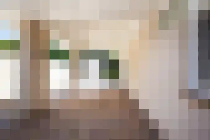 De Eelinkes 37 Winterswijk thumbnail 55