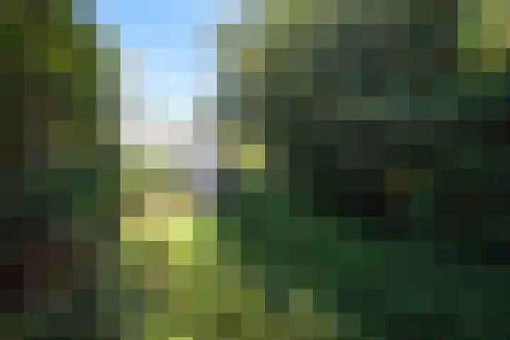 De Eelinkes 37 Winterswijk thumbnail 58