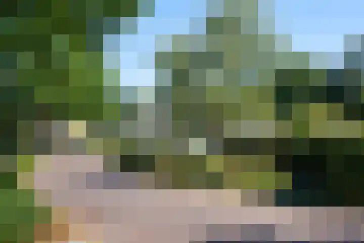 De Eelinkes 37 Winterswijk thumbnail 59