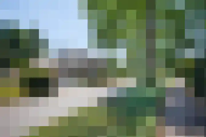 De Eelinkes 37 Winterswijk thumbnail 60