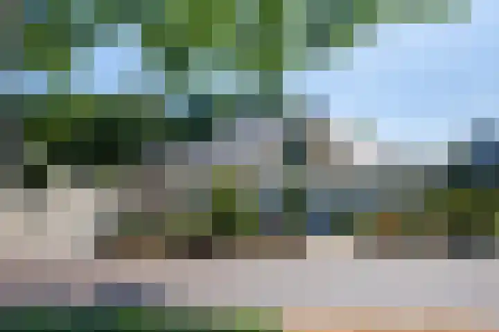 De Eelinkes 37 Winterswijk thumbnail 7