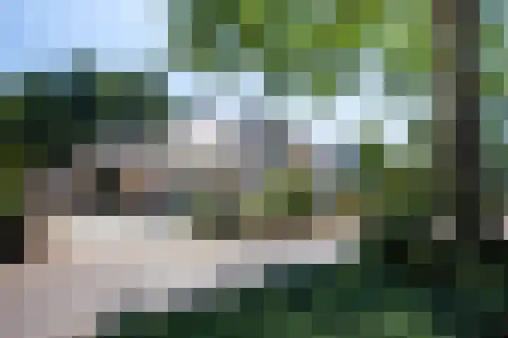 De Eelinkes 37 Winterswijk thumbnail 8