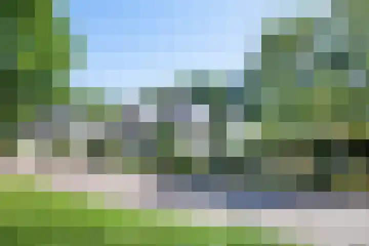 De Eelinkes 37 Winterswijk thumbnail 9