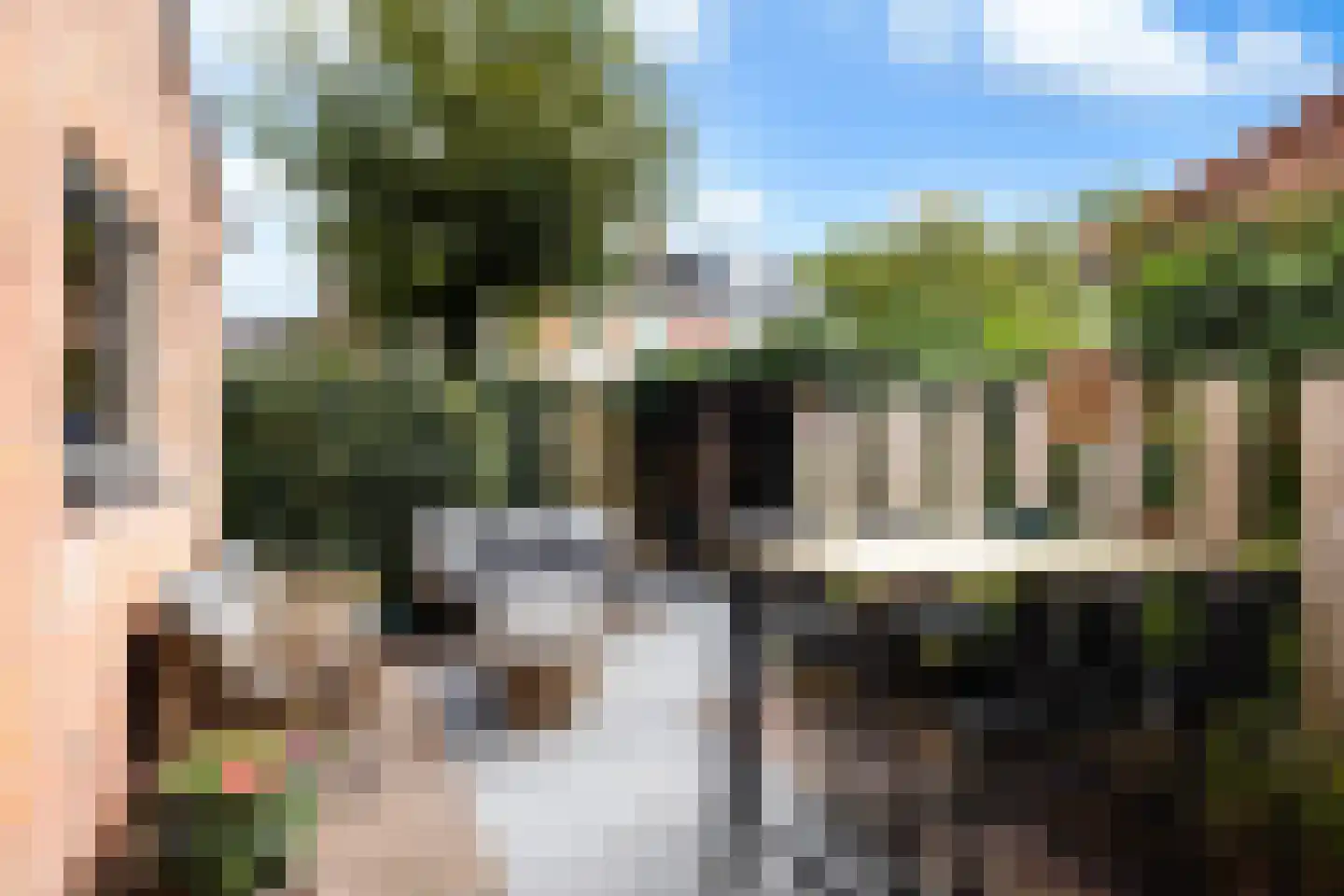 de Eem 12 Woerden thumbnail 14